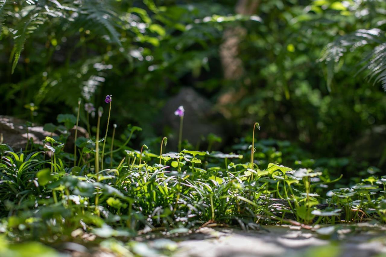 Higurashi-Sou Hotell Kyoto Exteriör bild
