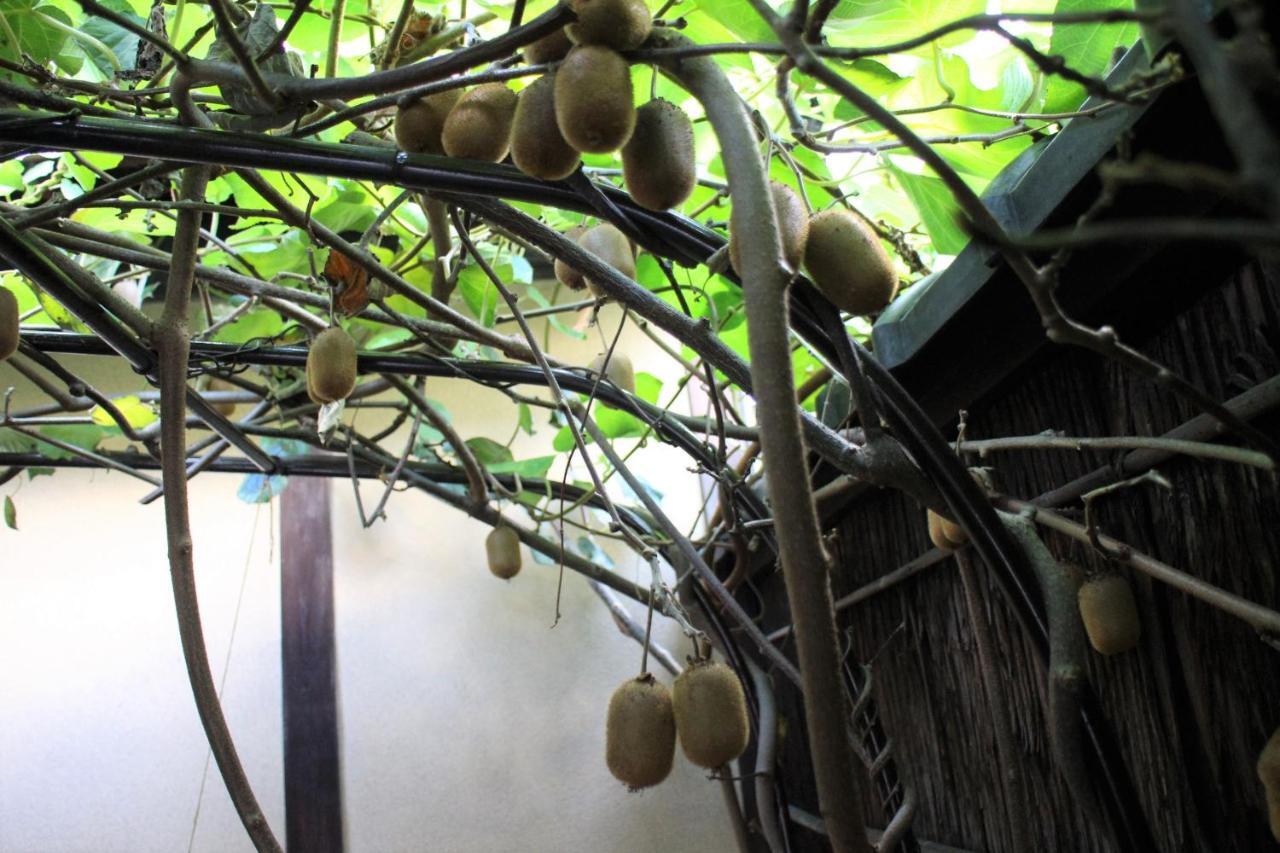 Higurashi-Sou Hotell Kyoto Exteriör bild